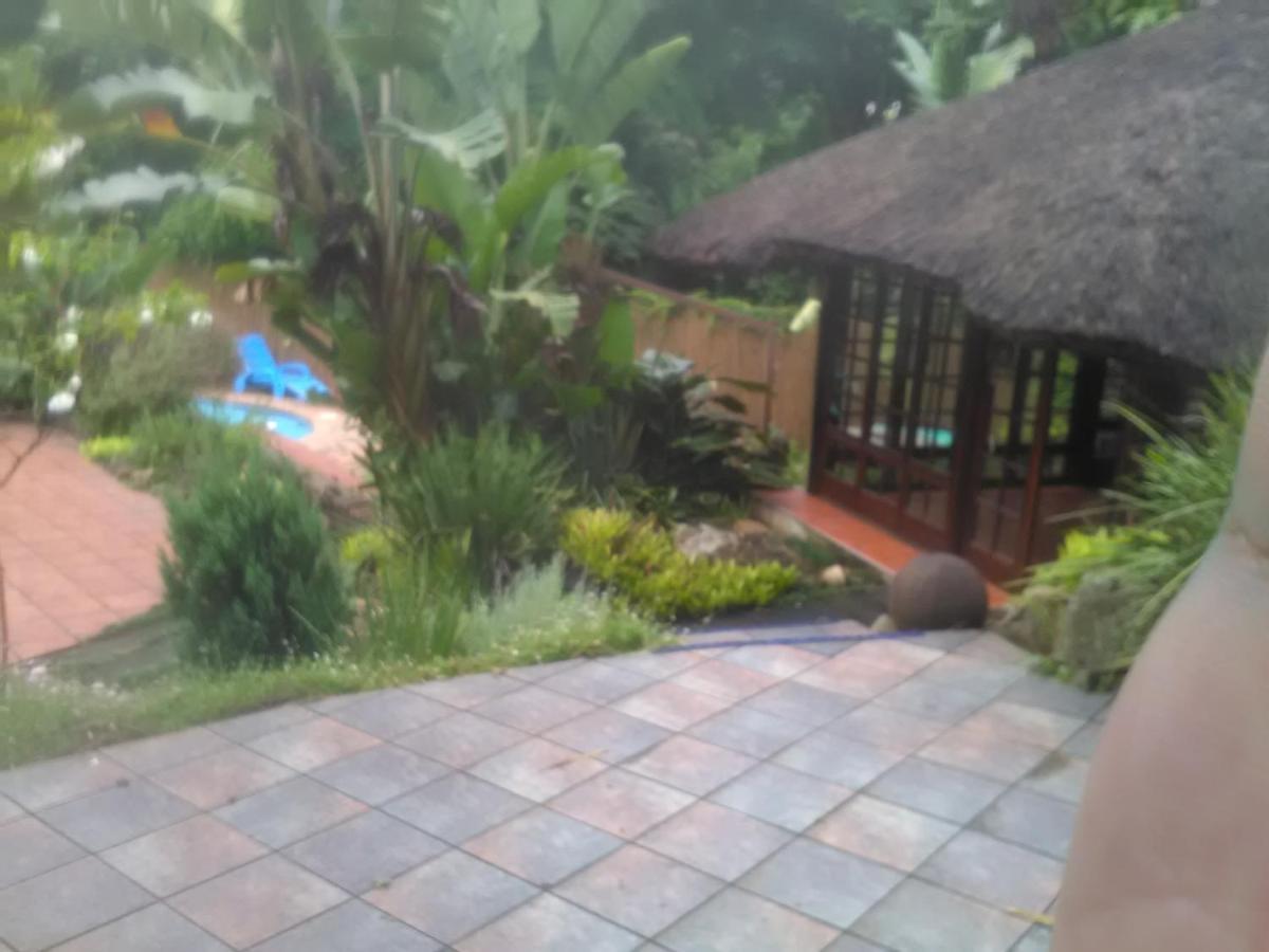 Thrush Nest Durban Bed and Breakfast Pinetown Eksteriør billede