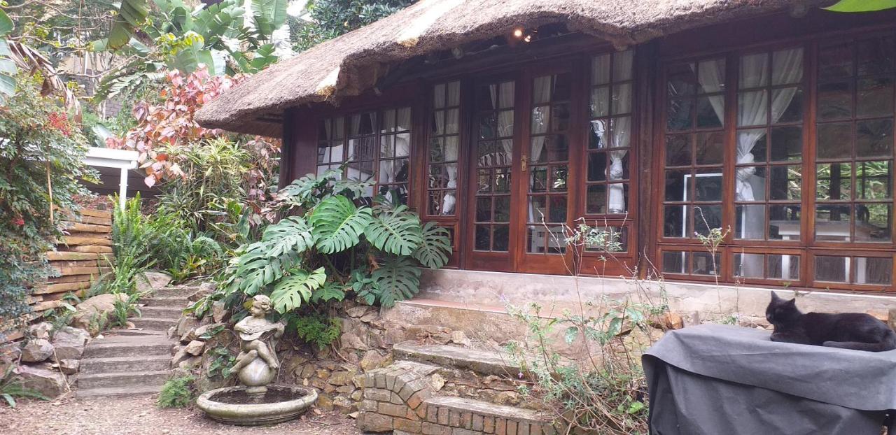 Thrush Nest Durban Bed and Breakfast Pinetown Eksteriør billede