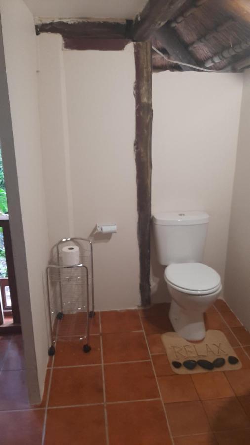Thrush Nest Durban Bed and Breakfast Pinetown Eksteriør billede