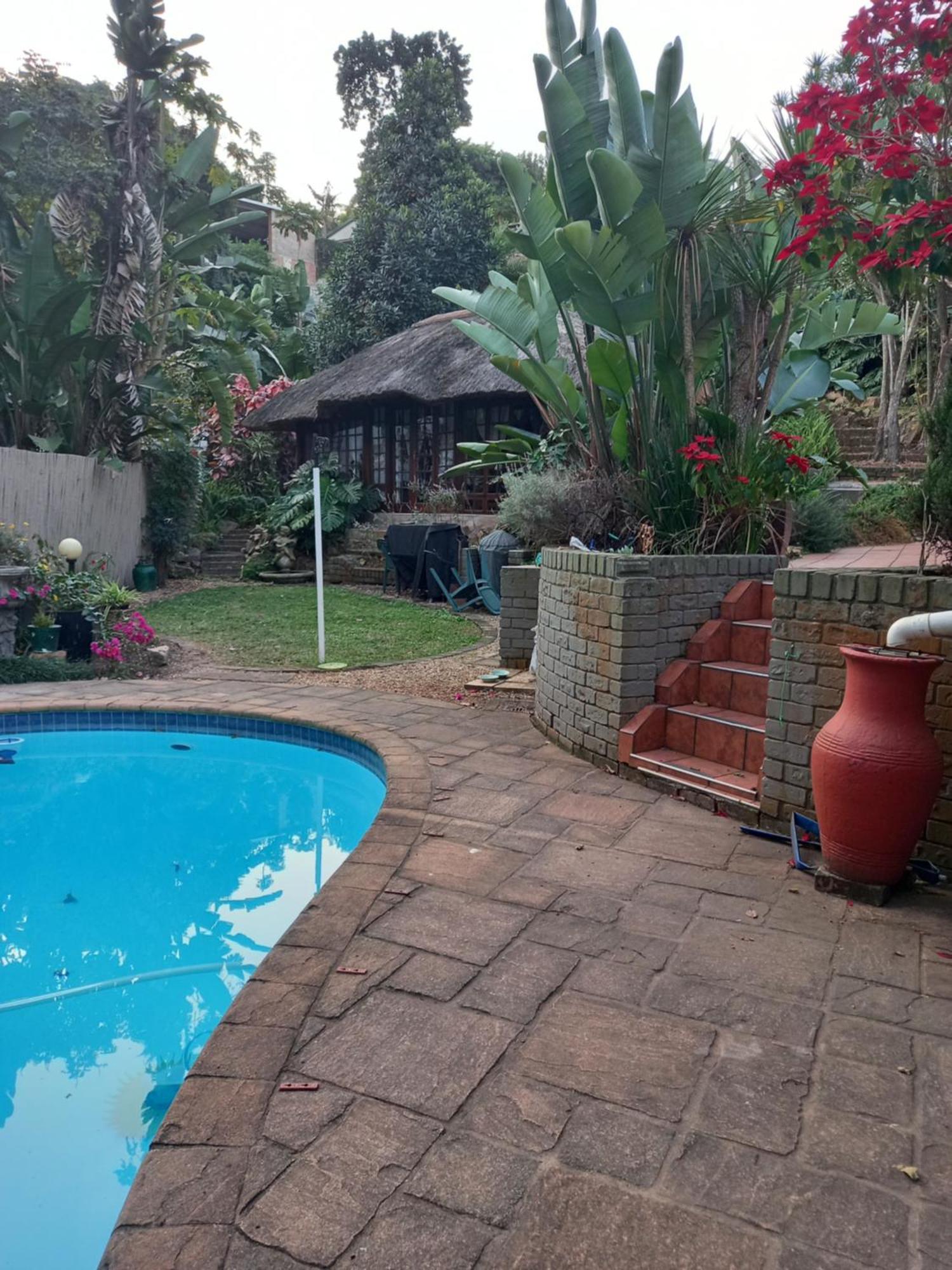 Thrush Nest Durban Bed and Breakfast Pinetown Eksteriør billede